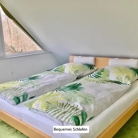 Rundblick Daire Hohwacht